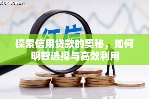 澄迈探索信用贷款的奥秘，如何明智选择与高效利用