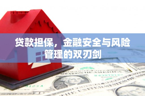 澄迈贷款担保，金融安全与风险管理的双刃剑