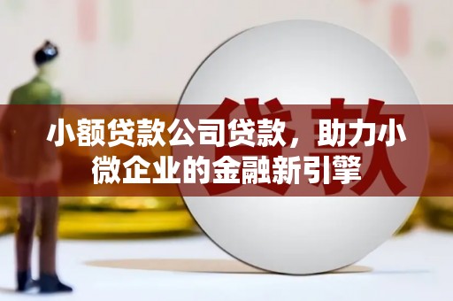 澄迈小额贷款公司贷款，助力小微企业的金融新引擎