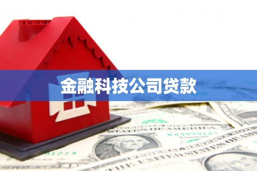 澄迈金融科技公司贷款