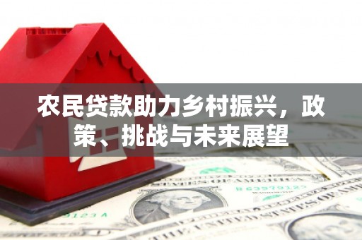 澄迈农民贷款助力乡村振兴，政策、挑战与未来展望