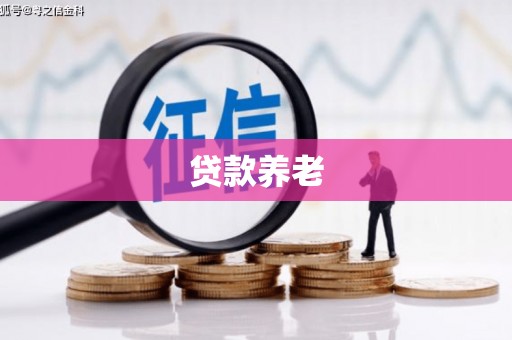 澄迈贷款养老
