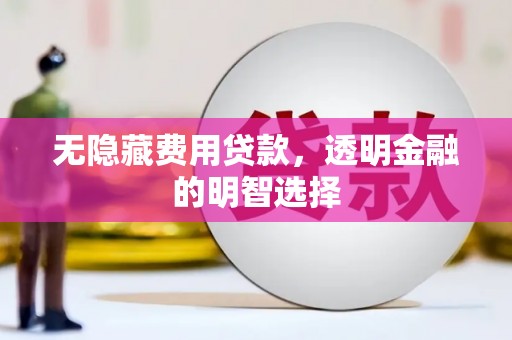 澄迈无隐藏费用贷款，透明金融的明智选择