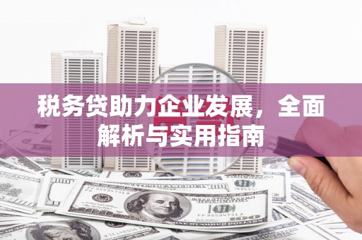 澄迈税务贷助力企业发展，全面解析与实用指南