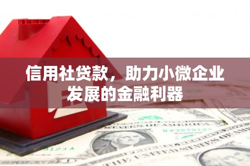 澄迈信用社贷款，助力小微企业发展的金融利器