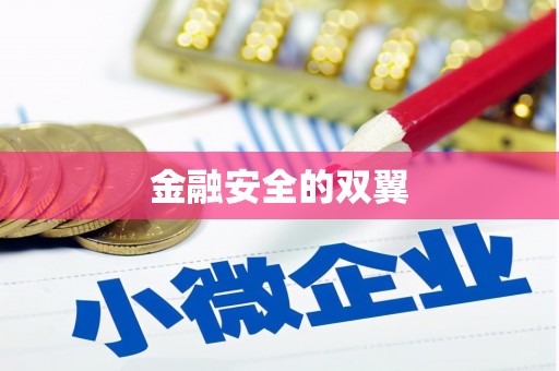 澄迈金融安全的双翼