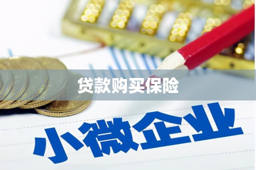 澄迈贷款购买保险