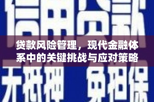 澄迈贷款风险管理，现代金融体系中的关键挑战与应对策略