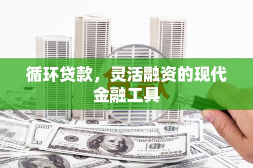 澄迈循环贷款，灵活融资的现代金融工具