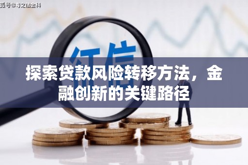 澄迈探索贷款风险转移方法，金融创新的关键路径
