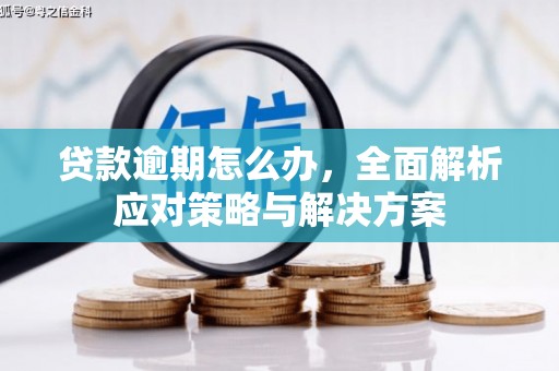 澄迈贷款逾期怎么办，全面解析应对策略与解决方案