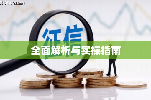 澄迈全面解析与实操指南