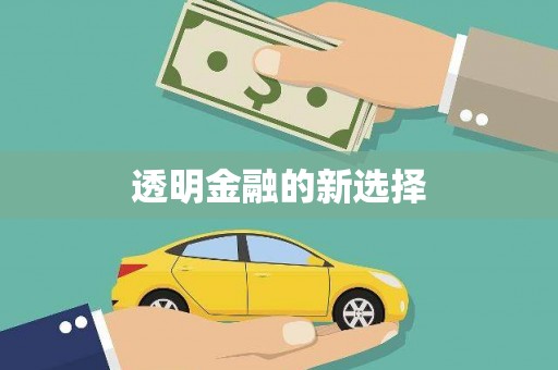 澄迈透明金融的新选择