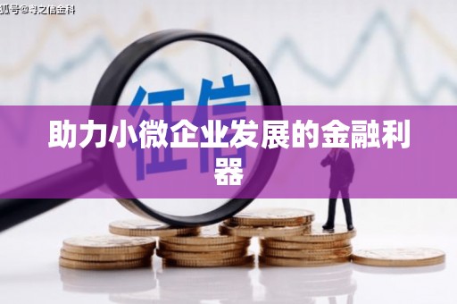 澄迈助力小微企业发展的金融利器